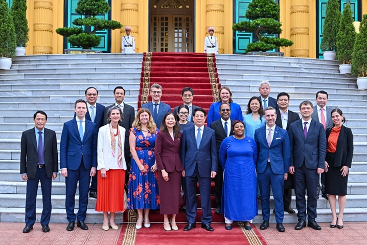 越南国家主席梁强会见联合国常驻越南协调员塔梅西斯